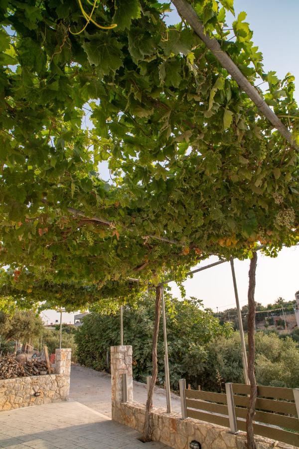 Hello Village Chania Apartment Sfakianalion
